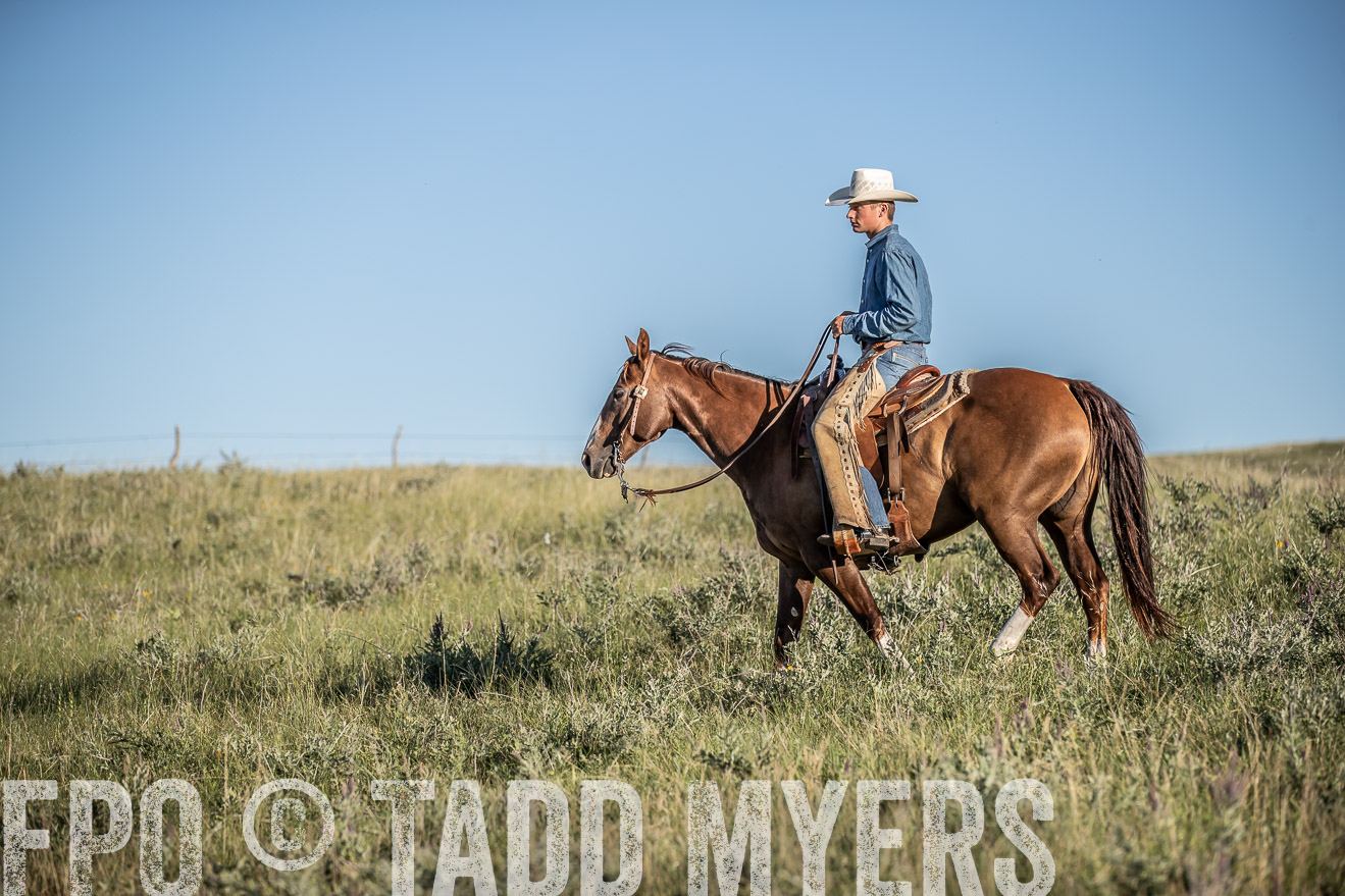 PP_TuckerRanch_NE_July2019-7360