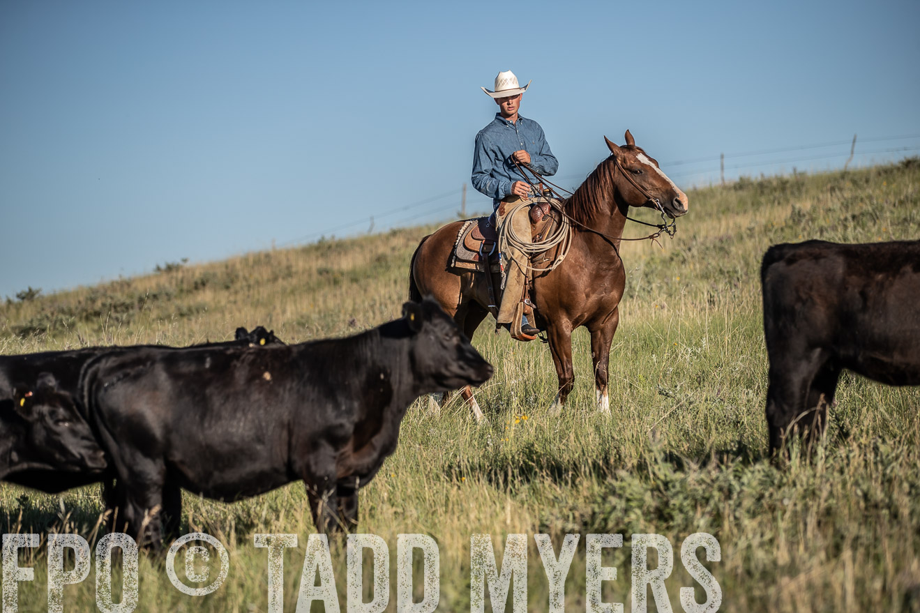 PP_TuckerRanch_NE_July2019-7362