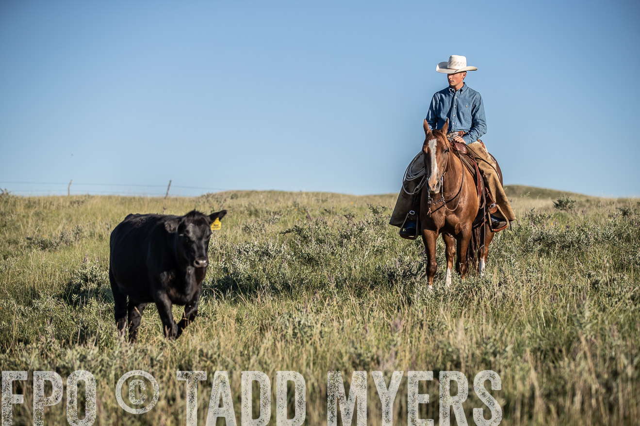 PP_TuckerRanch_NE_July2019-7368