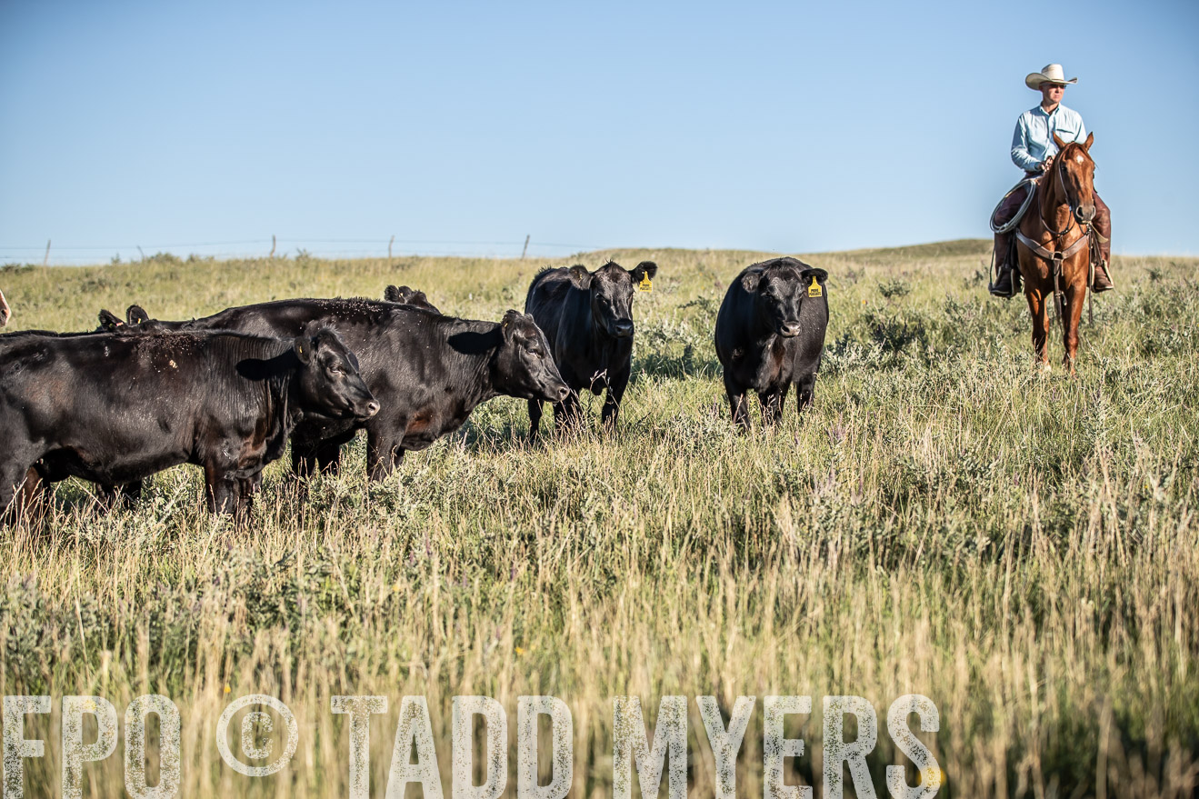 PP_TuckerRanch_NE_July2019-7371
