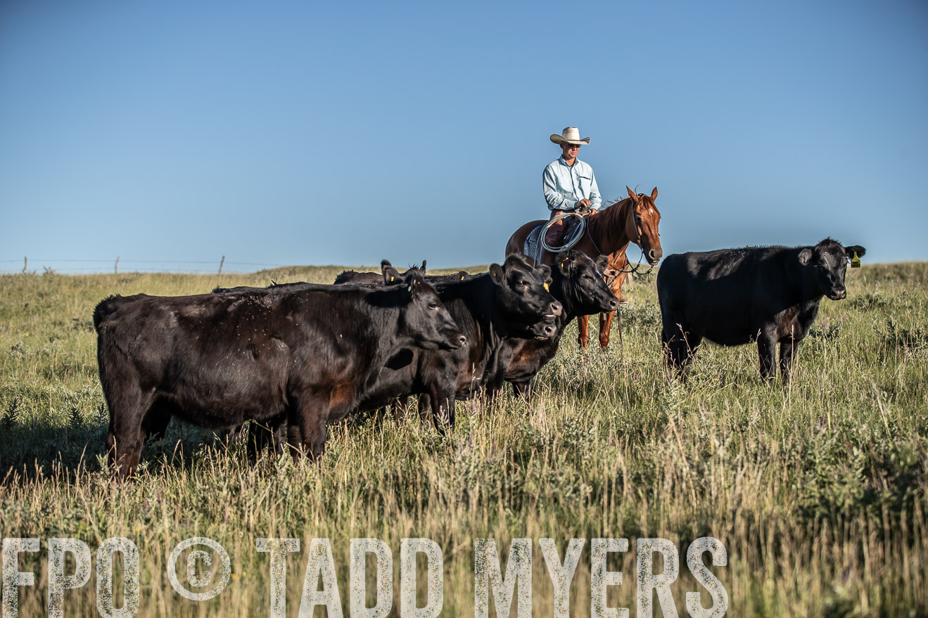 PP_TuckerRanch_NE_July2019-7373