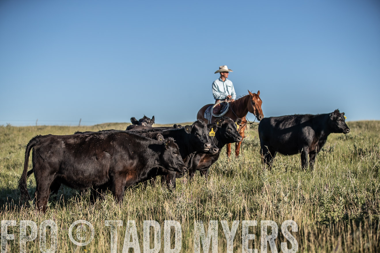 PP_TuckerRanch_NE_July2019-7374
