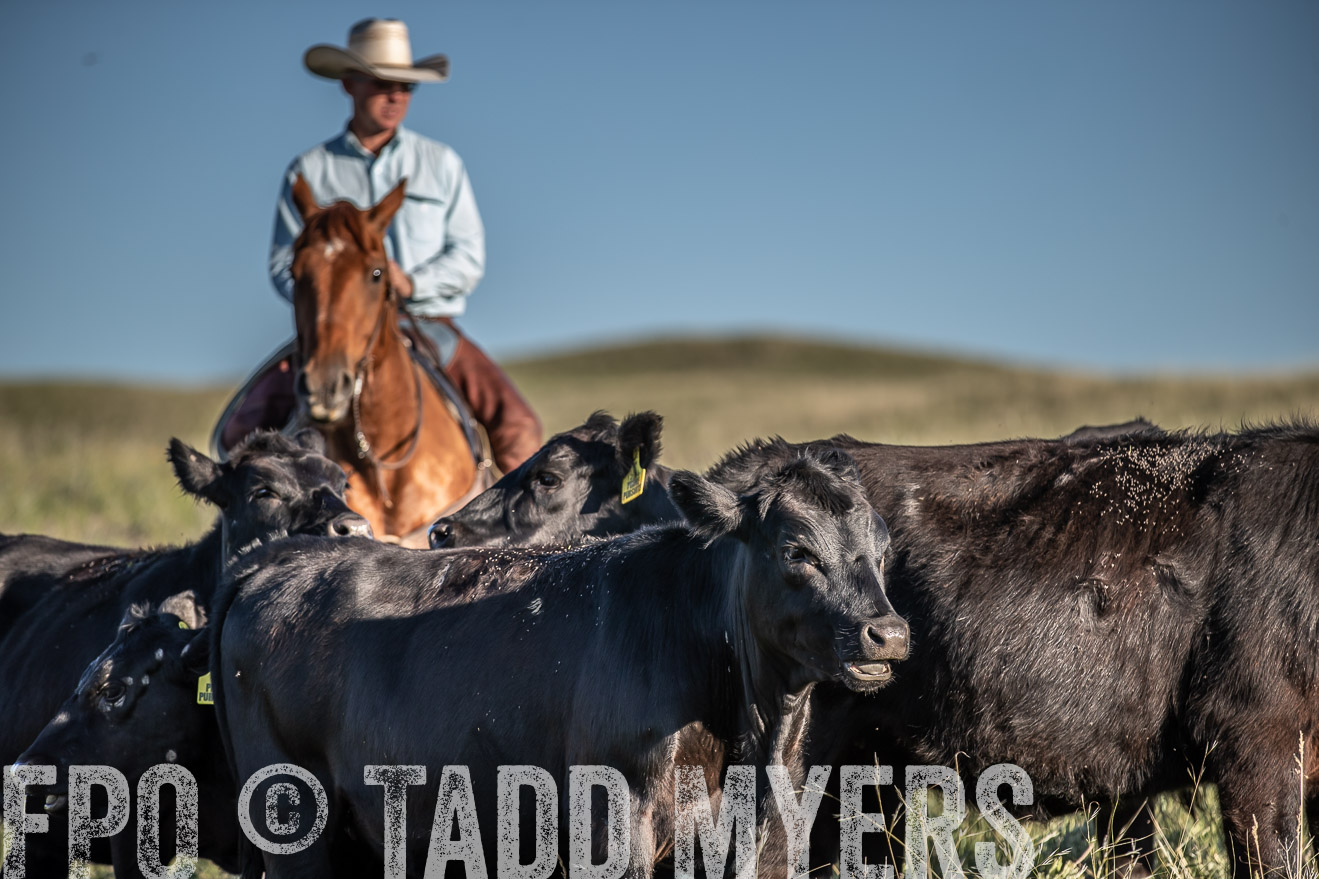 PP_TuckerRanch_NE_July2019-7377