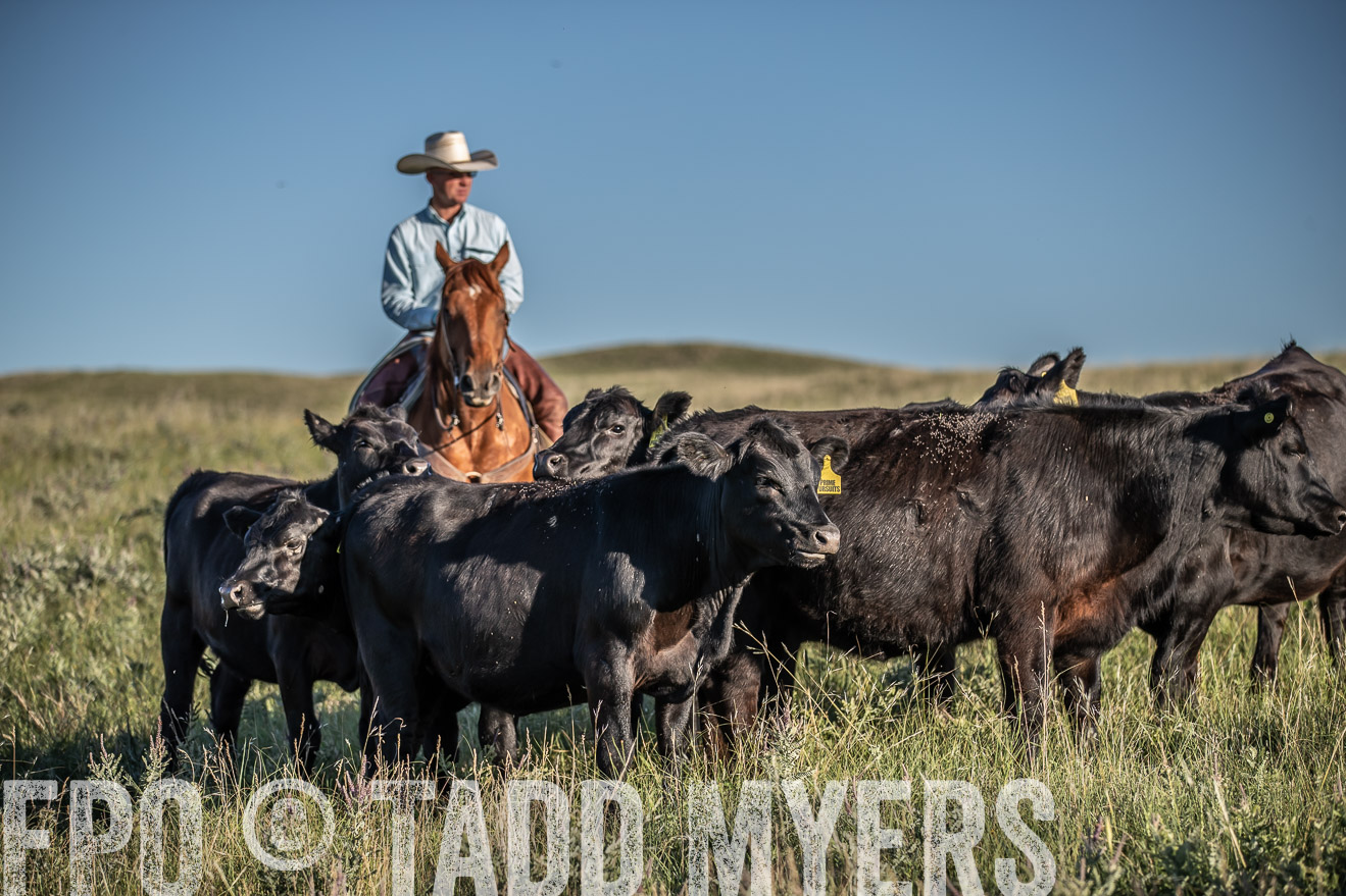 PP_TuckerRanch_NE_July2019-7378