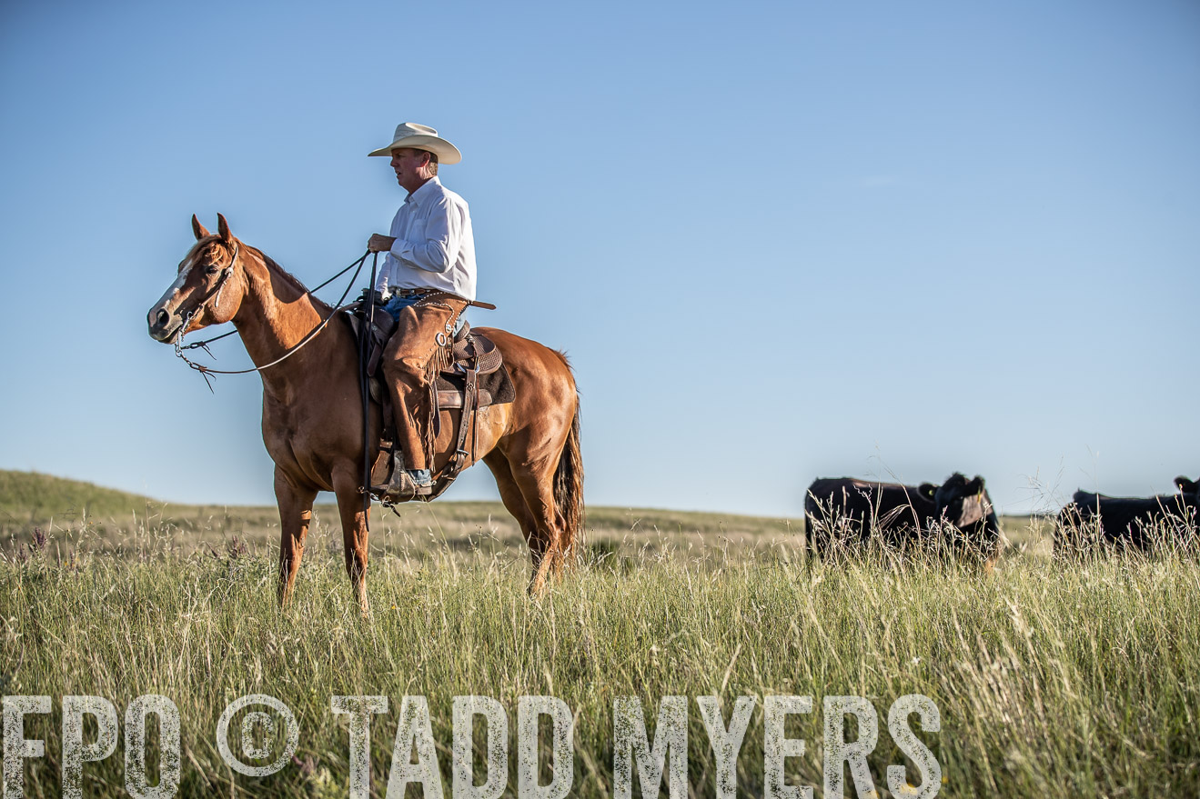 PP_TuckerRanch_NE_July2019-7382