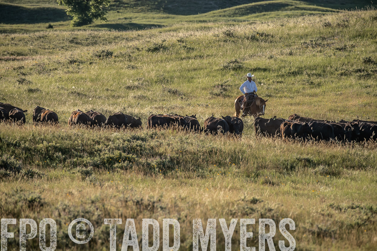 PP_TuckerRanch_NE_July2019-7385