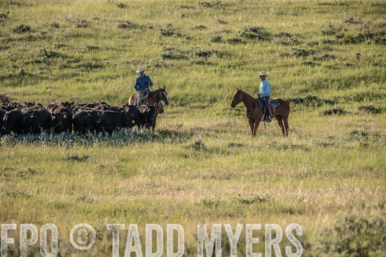 PP_TuckerRanch_NE_July2019-7386