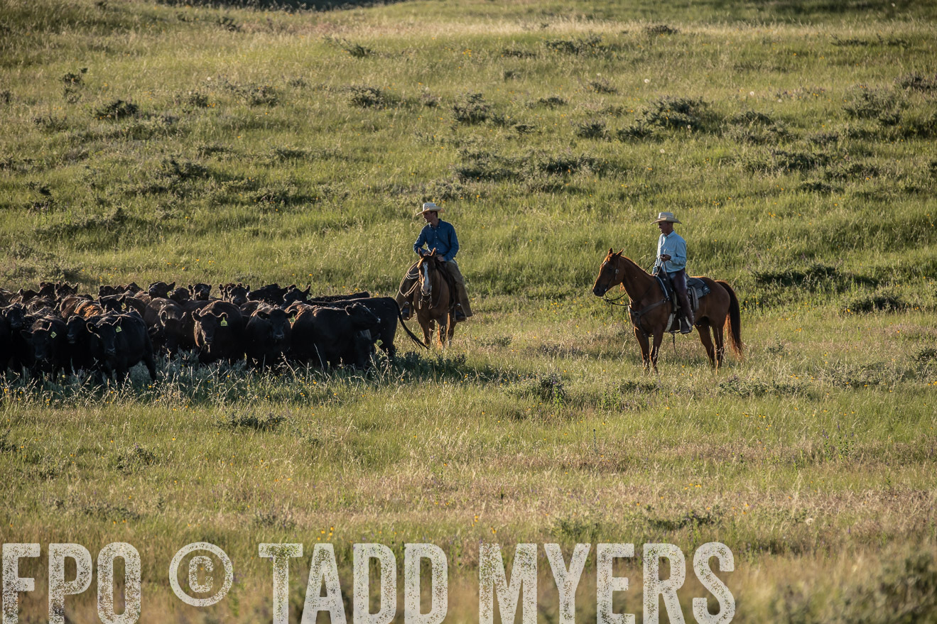 PP_TuckerRanch_NE_July2019-7387