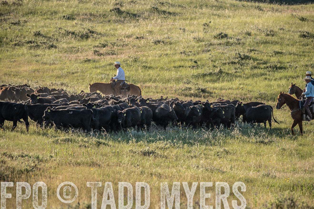 PP_TuckerRanch_NE_July2019-7389