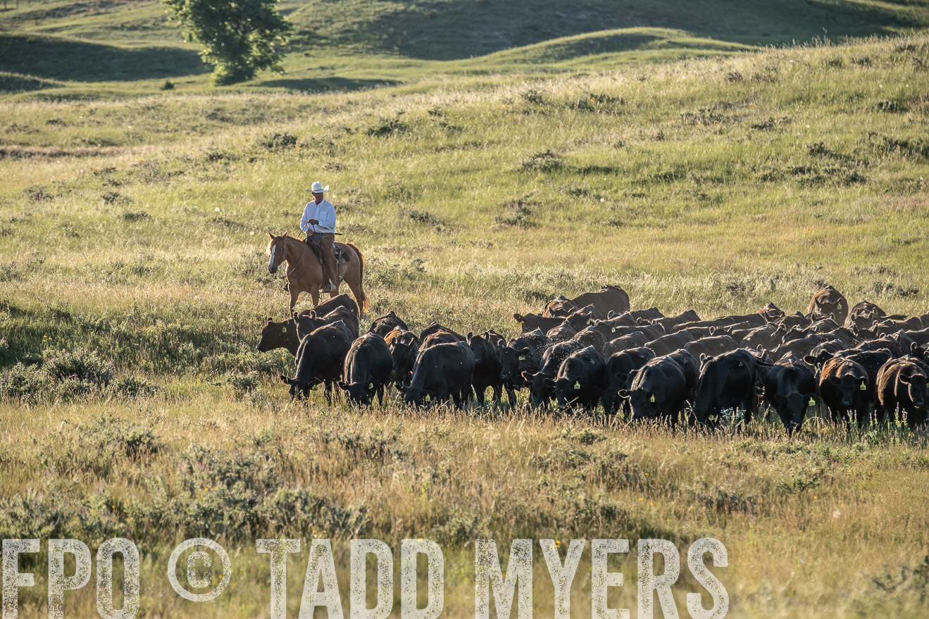 PP_TuckerRanch_NE_July2019-7397