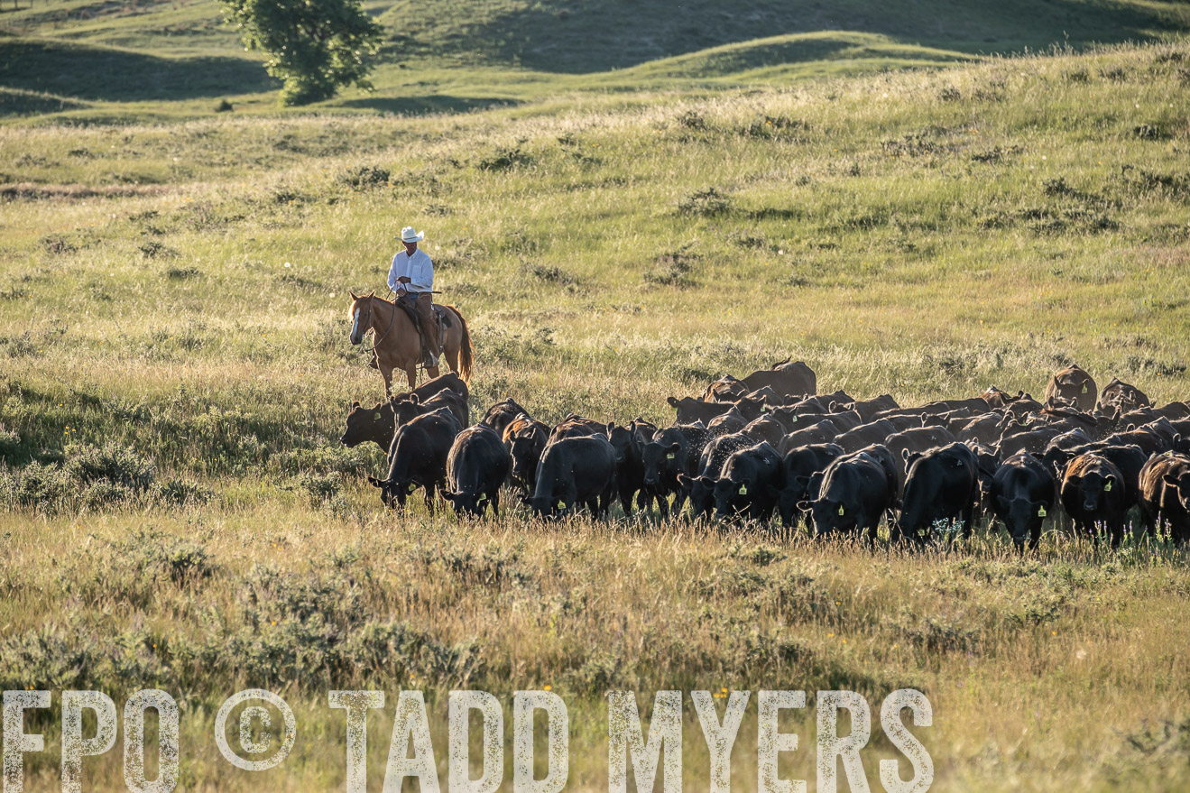 PP_TuckerRanch_NE_July2019-7398