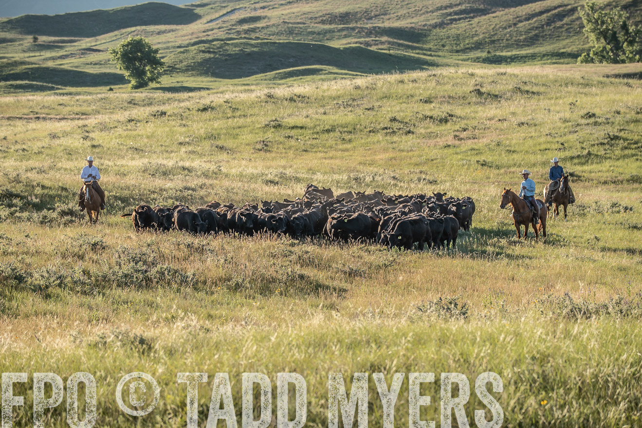 PP_TuckerRanch_NE_July2019-7399