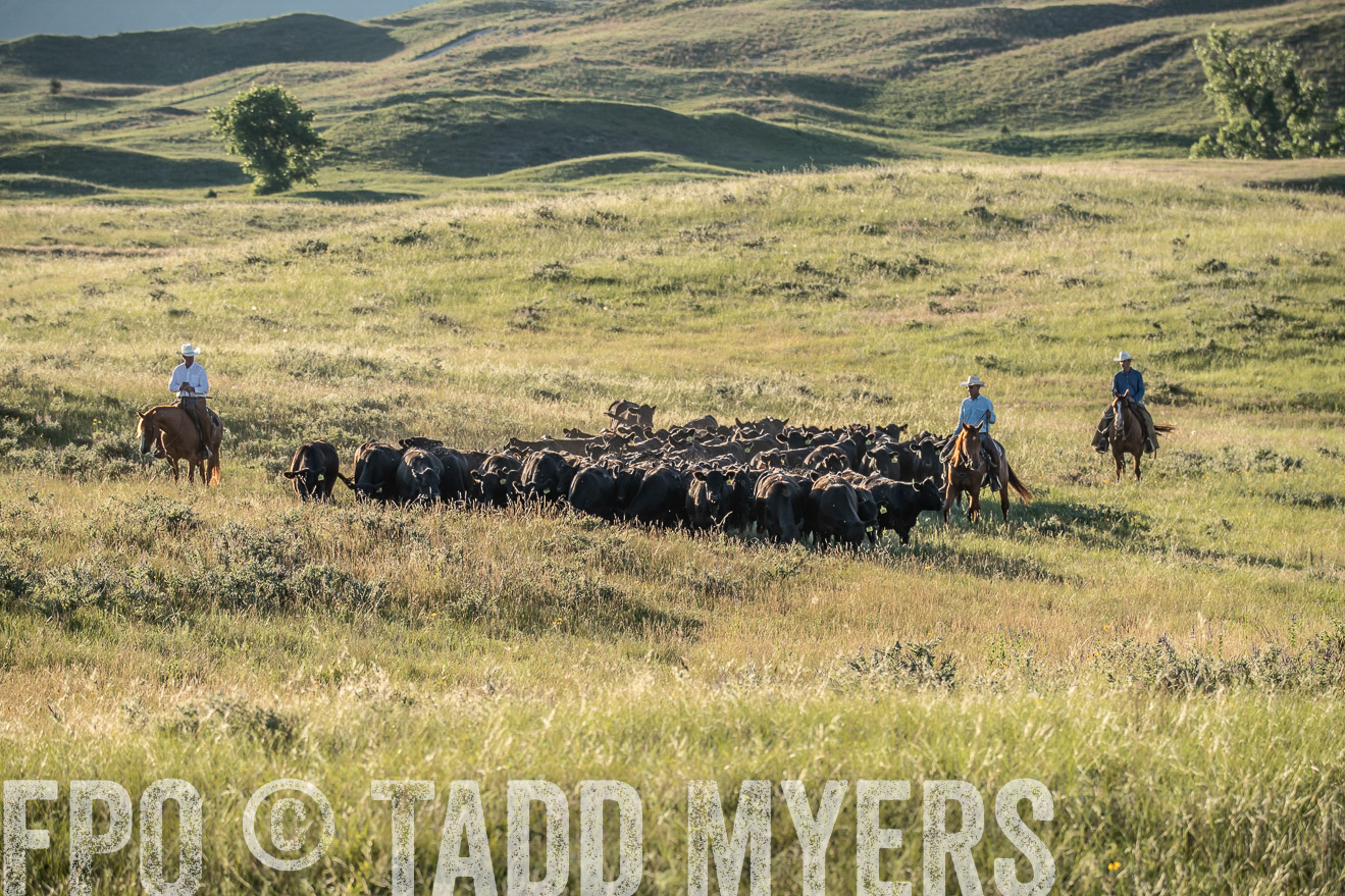 PP_TuckerRanch_NE_July2019-7401