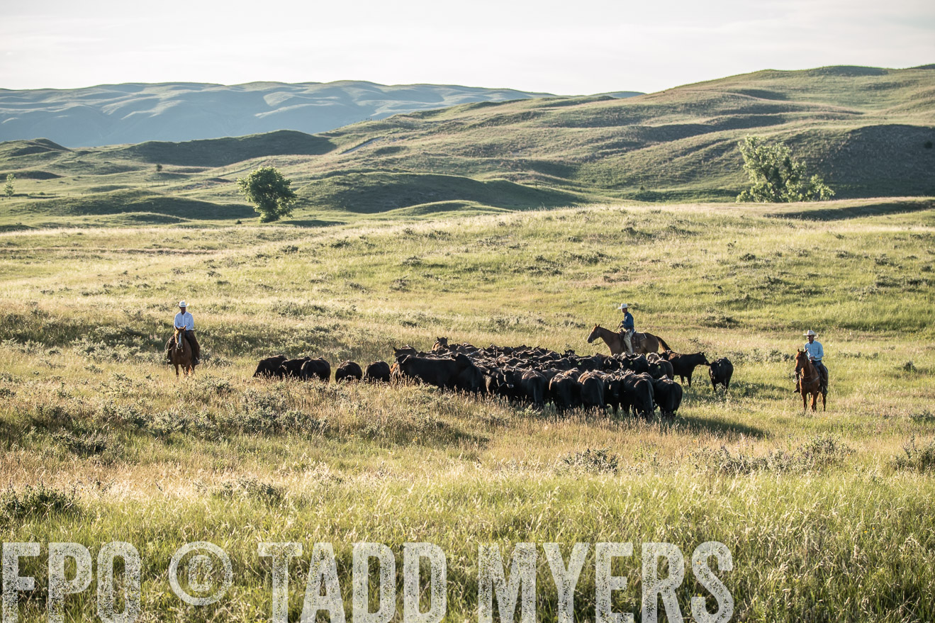 PP_TuckerRanch_NE_July2019-7407