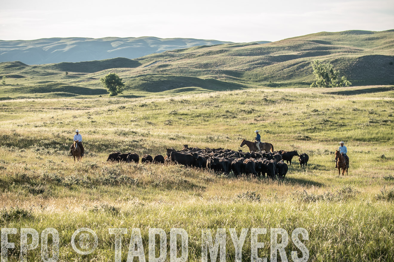 PP_TuckerRanch_NE_July2019-7408