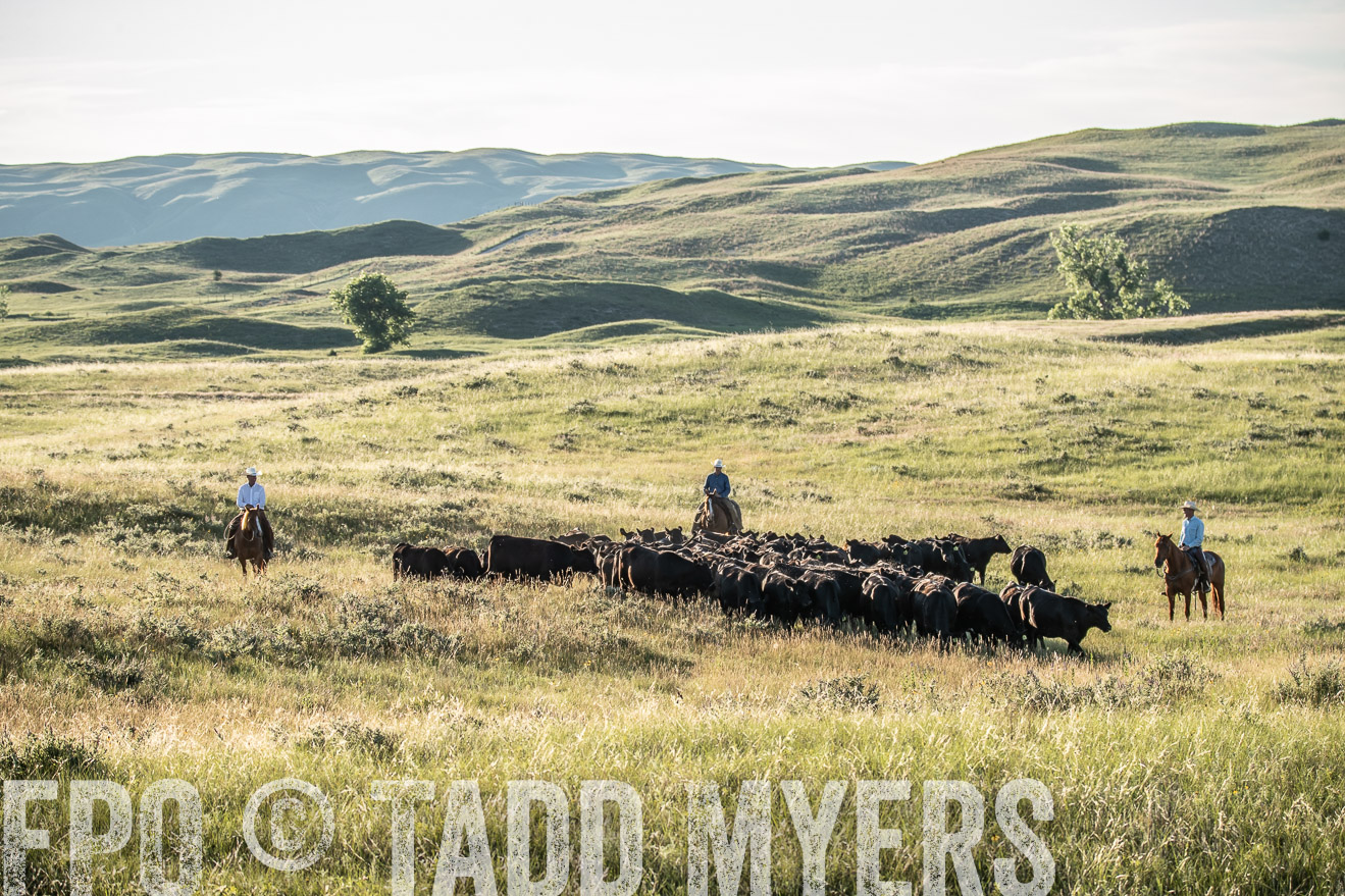 PP_TuckerRanch_NE_July2019-7412