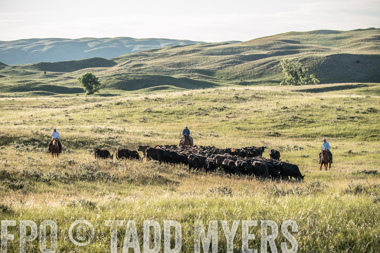 PP_TuckerRanch_NE_July2019-7413