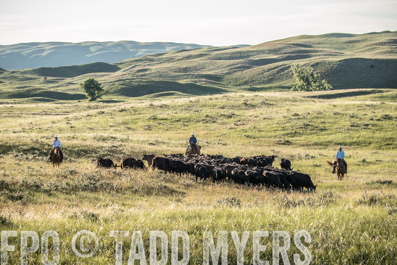 PP_TuckerRanch_NE_July2019-7414