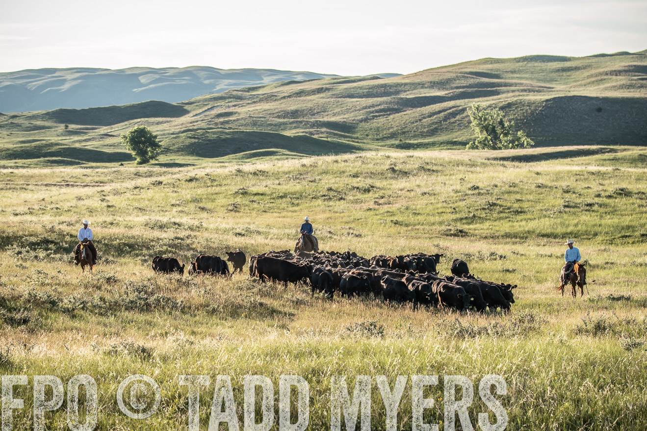 PP_TuckerRanch_NE_July2019-7415