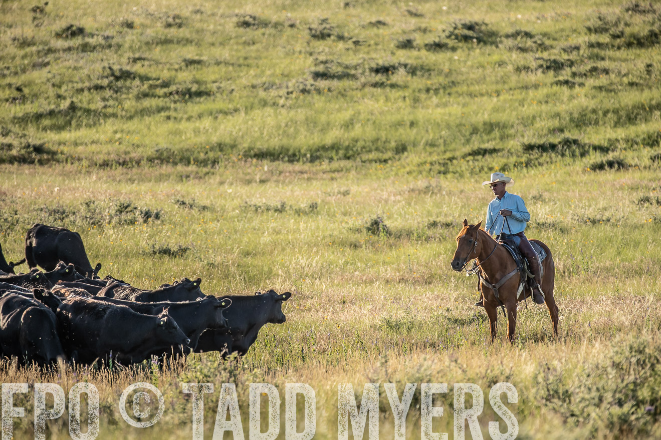 PP_TuckerRanch_NE_July2019-7417