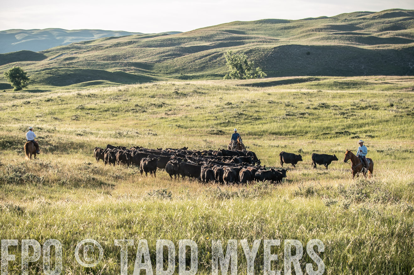 PP_TuckerRanch_NE_July2019-7420