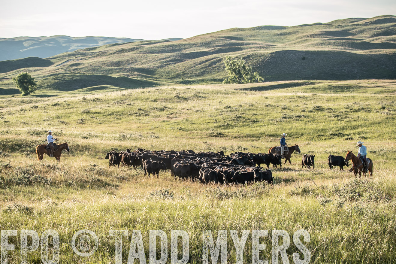 PP_TuckerRanch_NE_July2019-7422