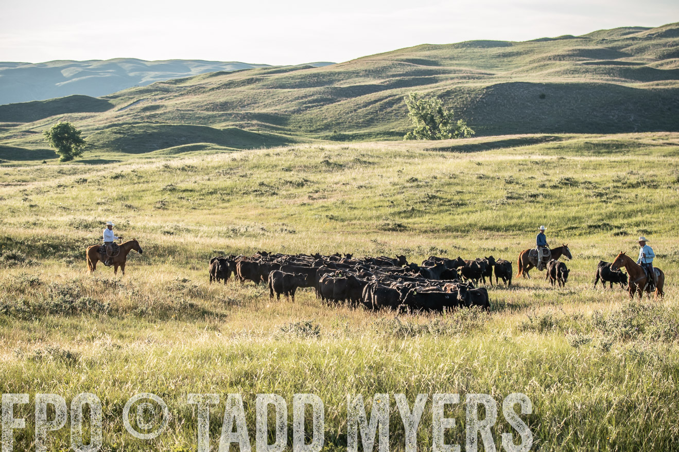 PP_TuckerRanch_NE_July2019-7424