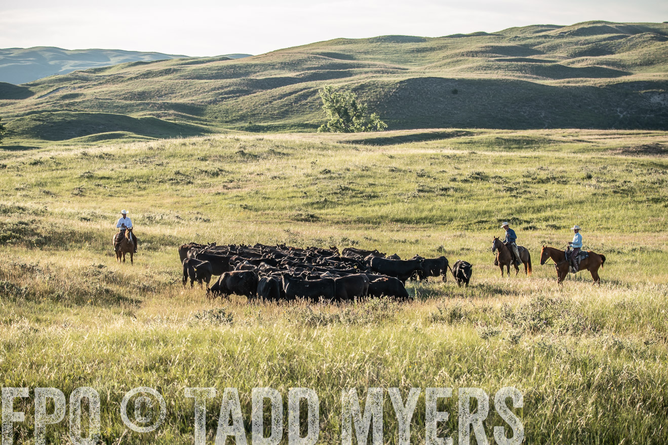 PP_TuckerRanch_NE_July2019-7426
