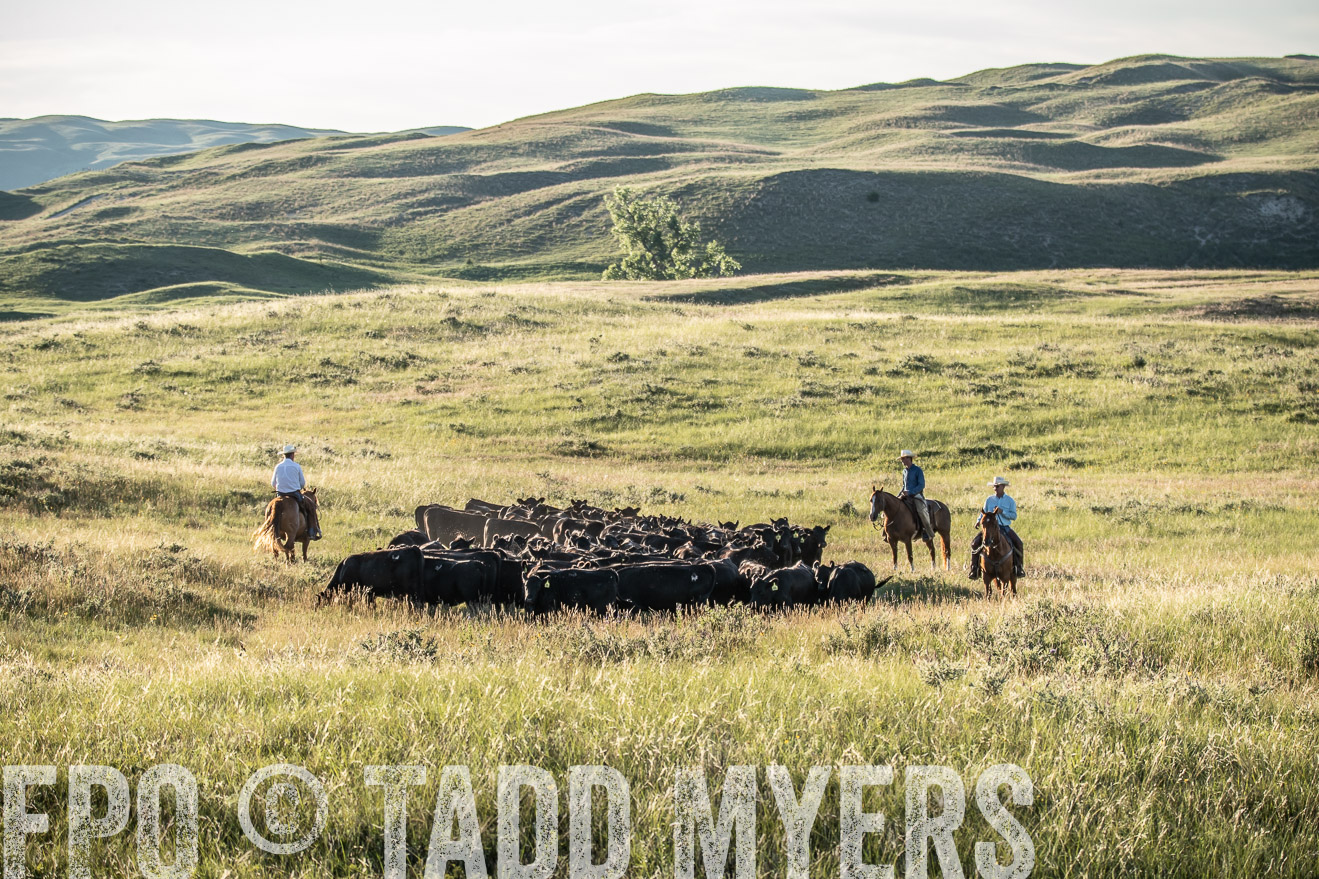 PP_TuckerRanch_NE_July2019-7431