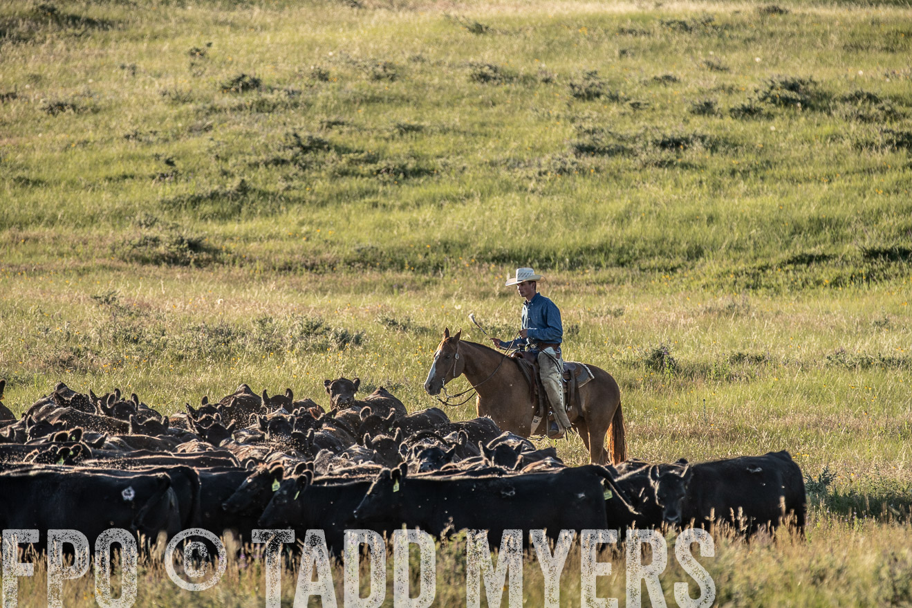 PP_TuckerRanch_NE_July2019-7439