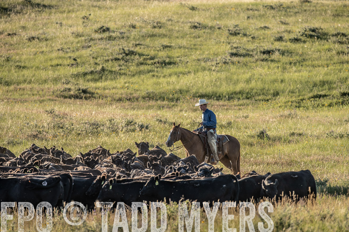 PP_TuckerRanch_NE_July2019-7440