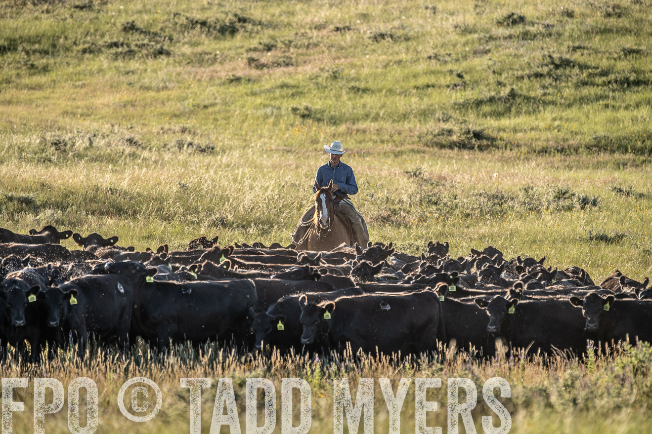 PP_TuckerRanch_NE_July2019-7444
