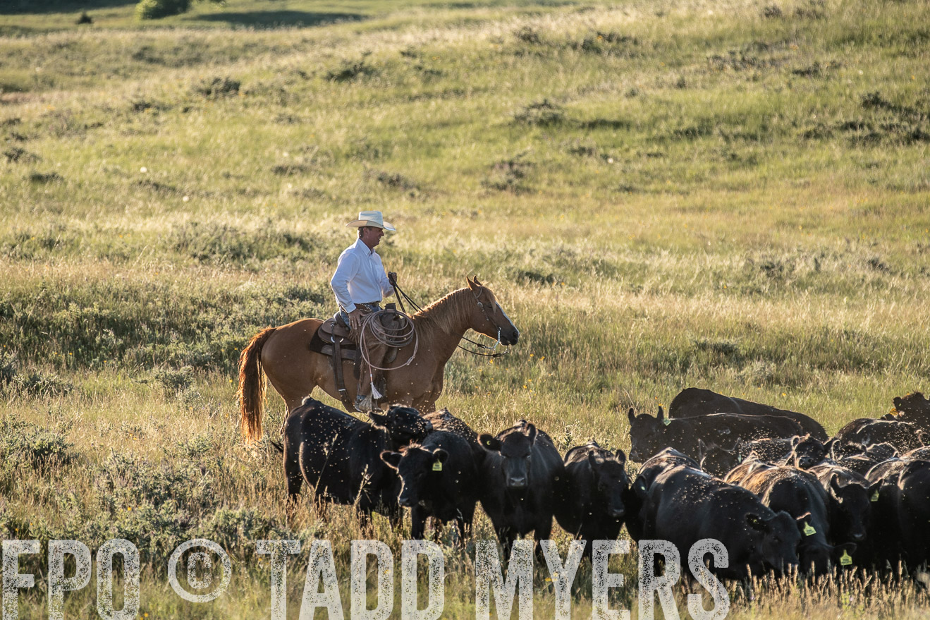 PP_TuckerRanch_NE_July2019-7446