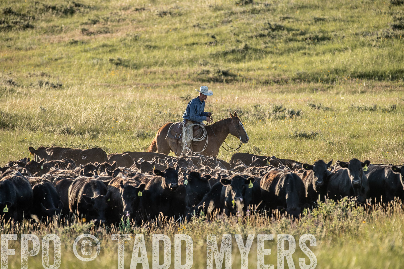 PP_TuckerRanch_NE_July2019-7449