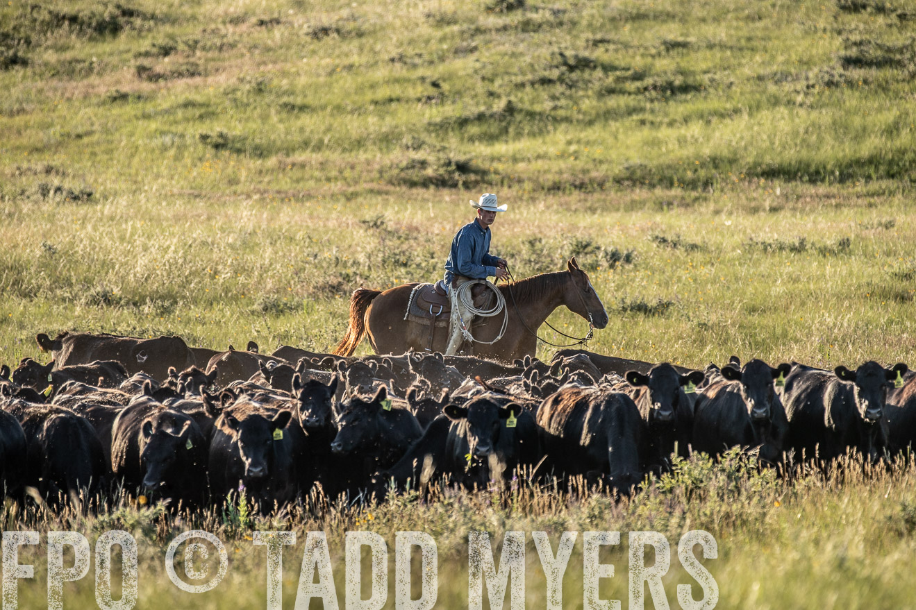 PP_TuckerRanch_NE_July2019-7450