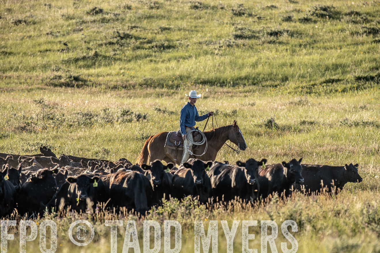 PP_TuckerRanch_NE_July2019-7452