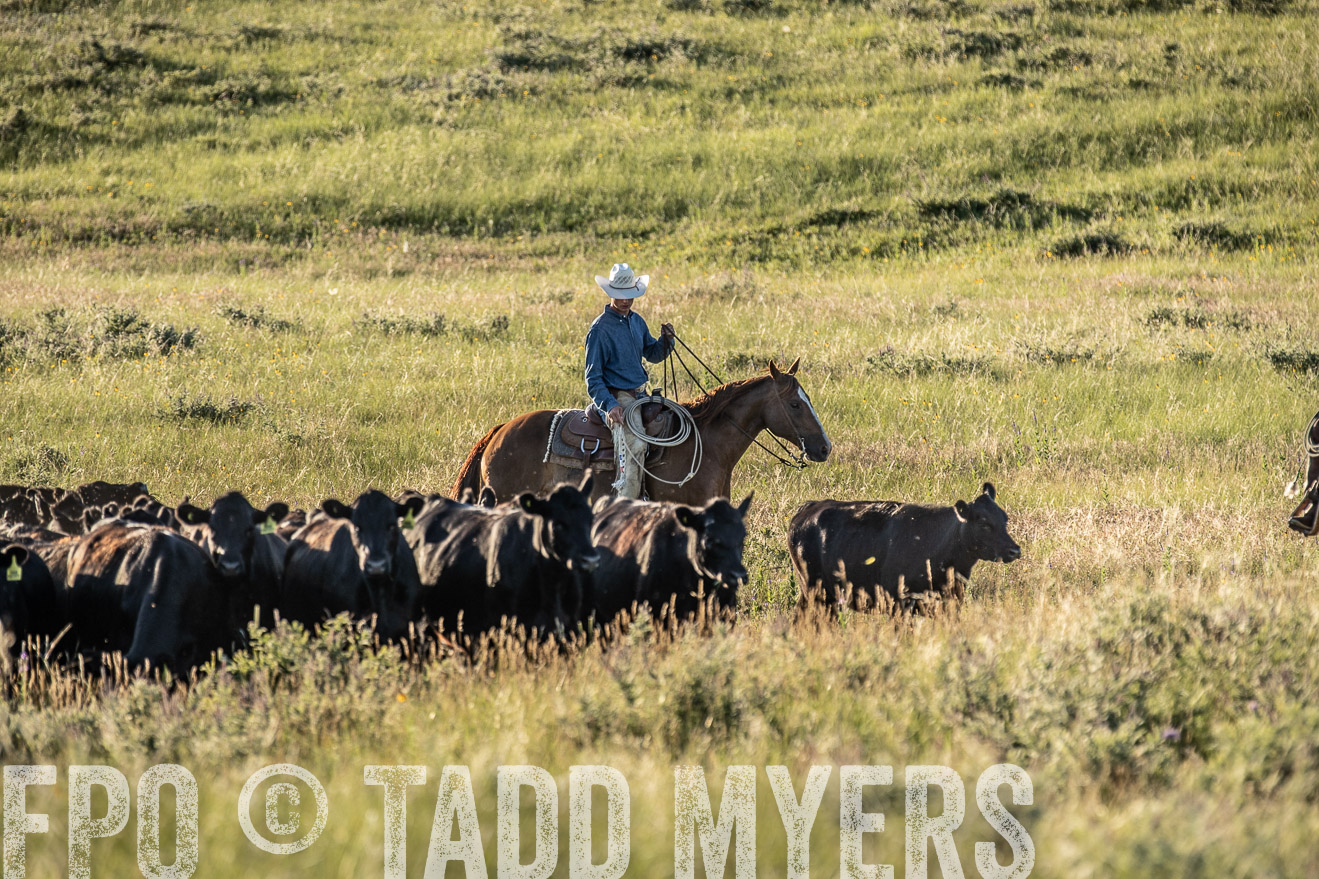 PP_TuckerRanch_NE_July2019-7453