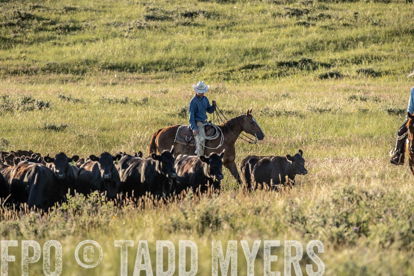 PP_TuckerRanch_NE_July2019-7454