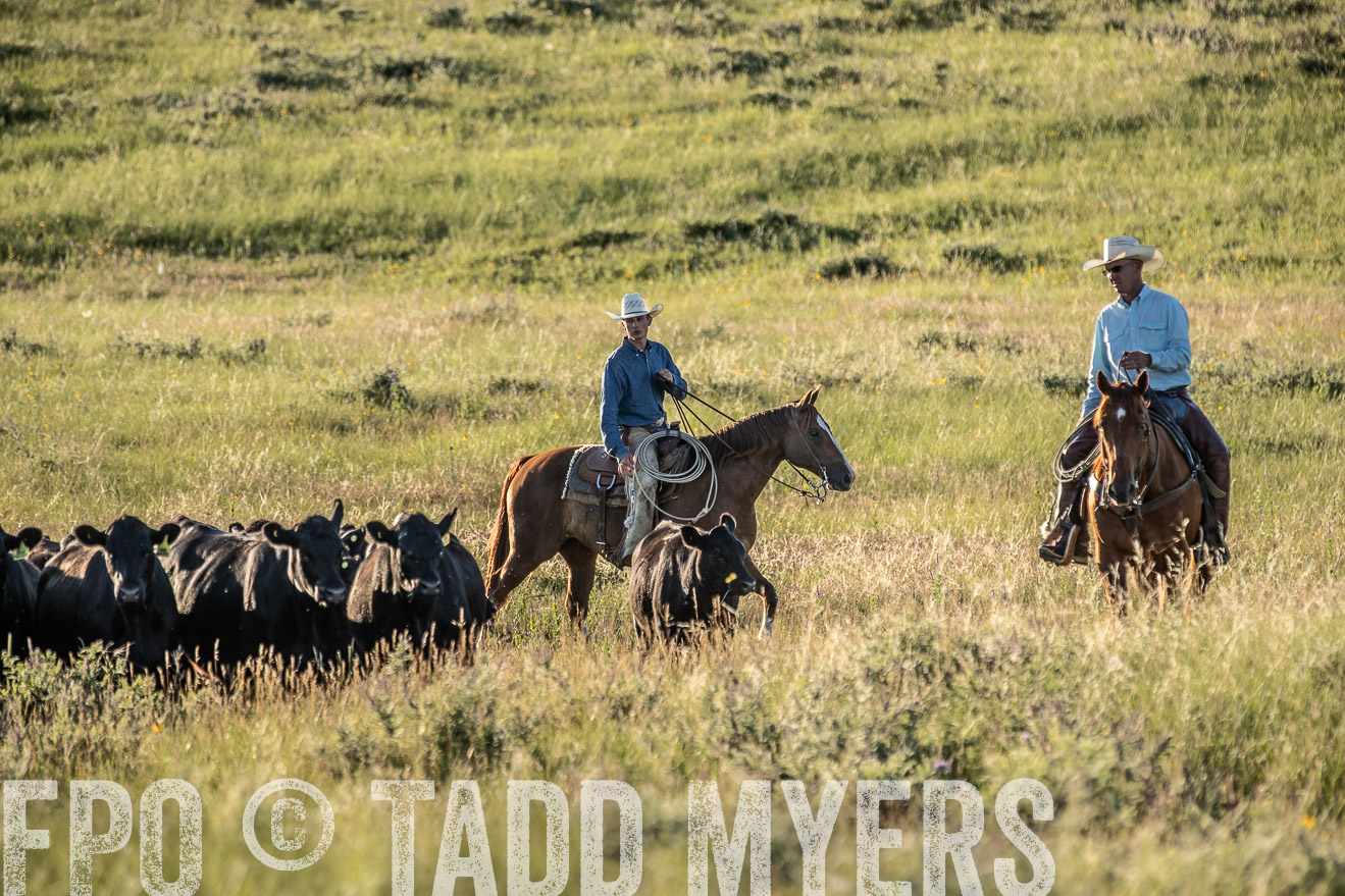 PP_TuckerRanch_NE_July2019-7456