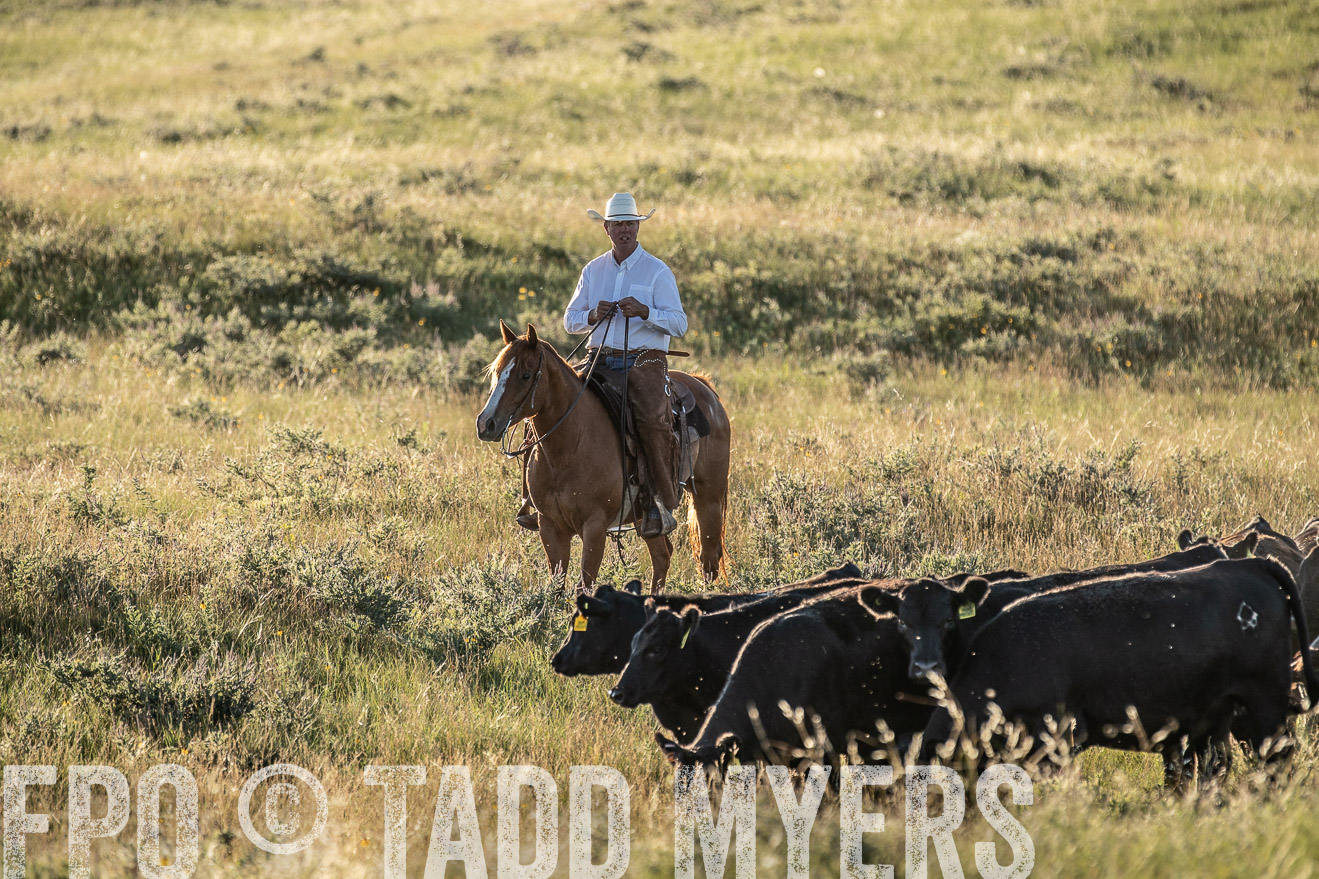PP_TuckerRanch_NE_July2019-7465