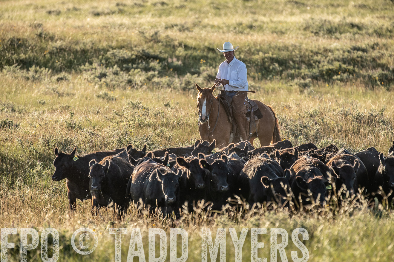 PP_TuckerRanch_NE_July2019-7467