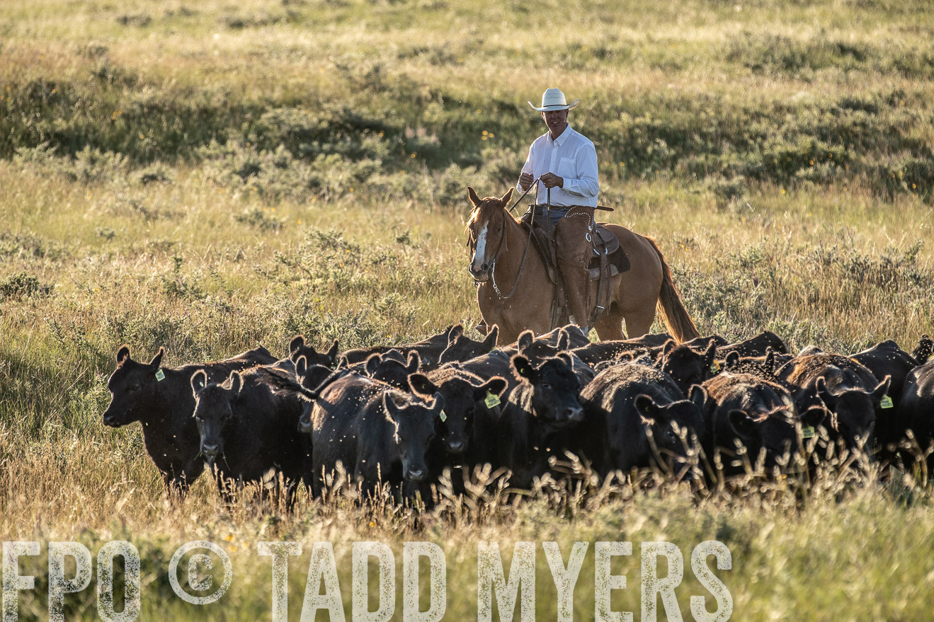 PP_TuckerRanch_NE_July2019-7468