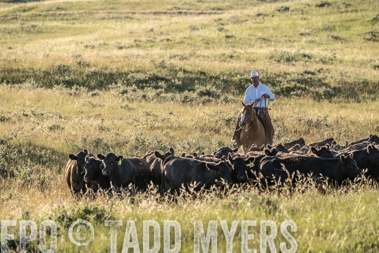 PP_TuckerRanch_NE_July2019-7474