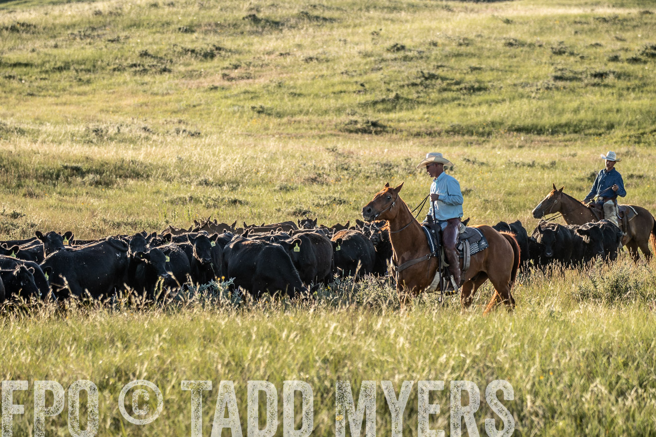 PP_TuckerRanch_NE_July2019-7480