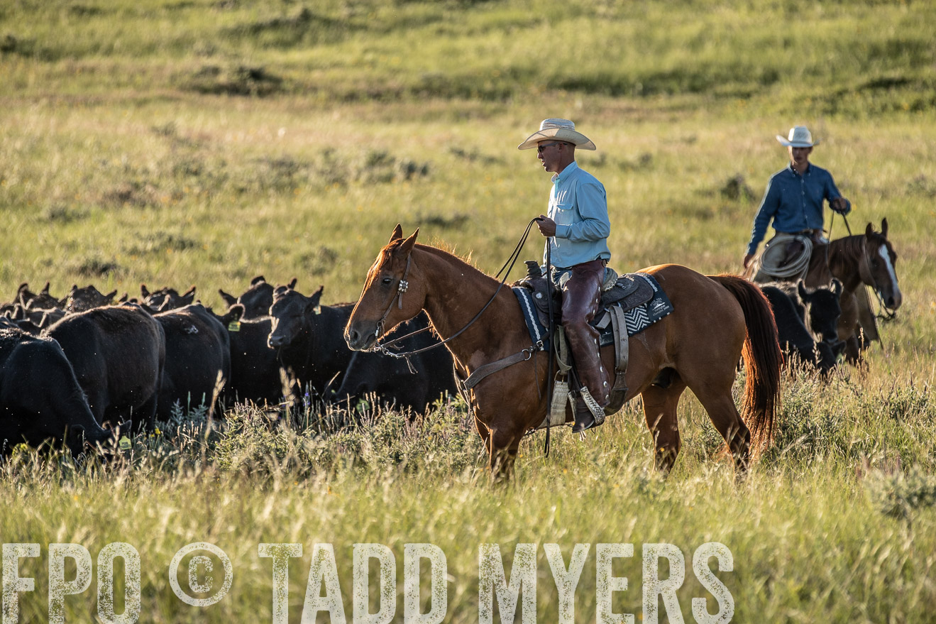 PP_TuckerRanch_NE_July2019-7481