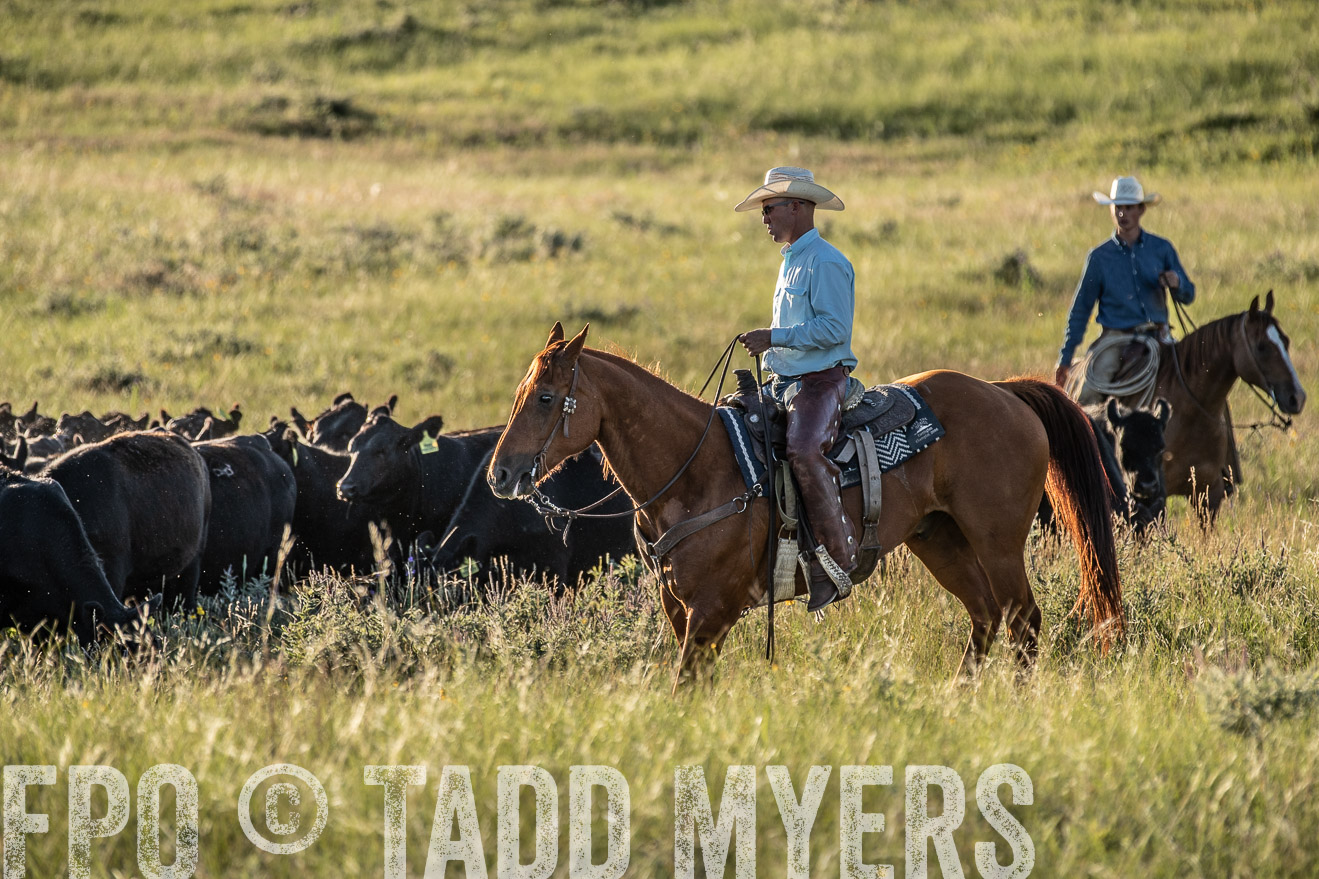 PP_TuckerRanch_NE_July2019-7482