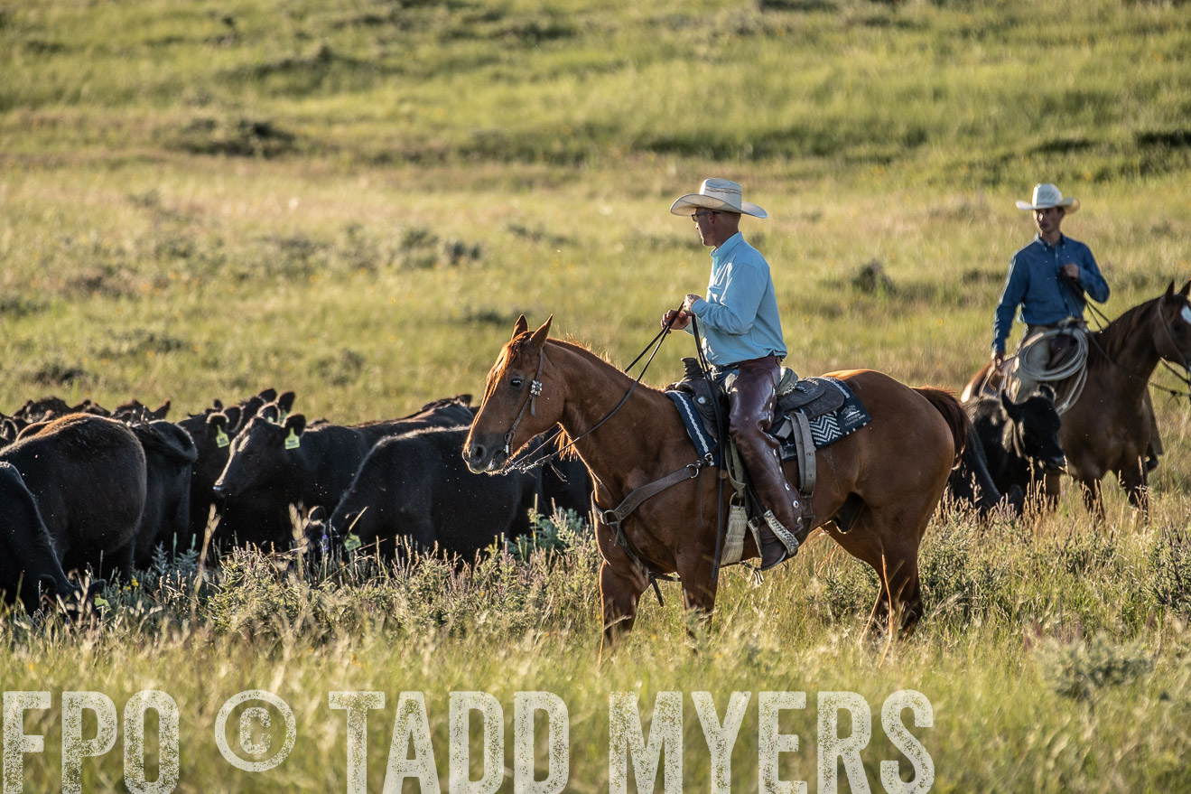 PP_TuckerRanch_NE_July2019-7483