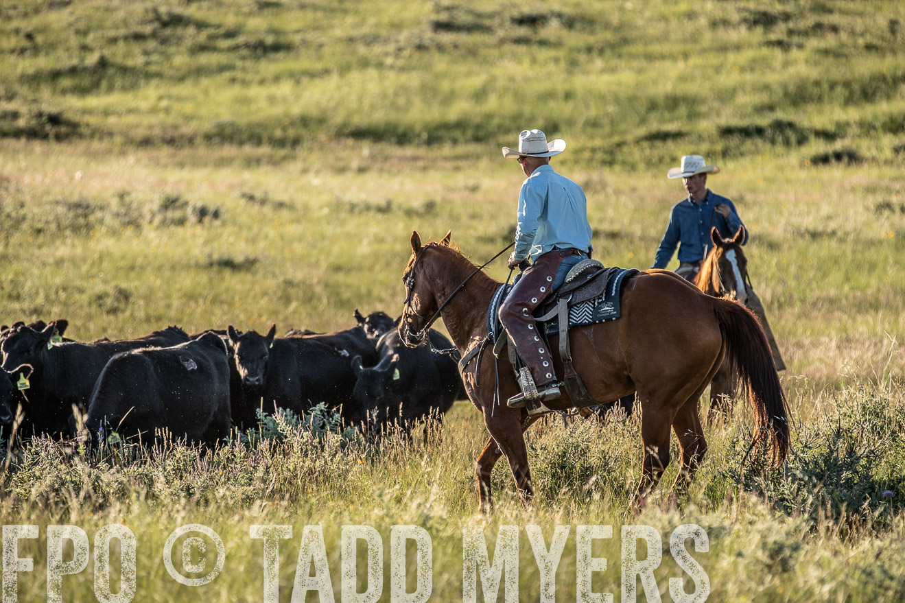 PP_TuckerRanch_NE_July2019-7485