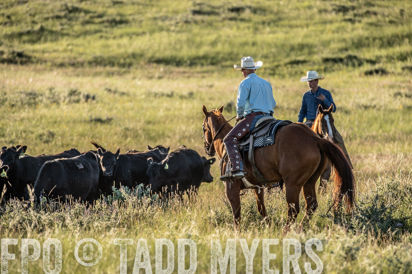 PP_TuckerRanch_NE_July2019-7486