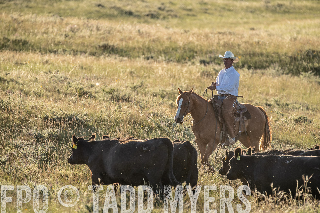 PP_TuckerRanch_NE_July2019-7488